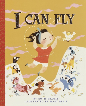 icanfly icanfly