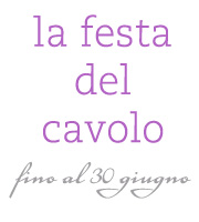 festa festa